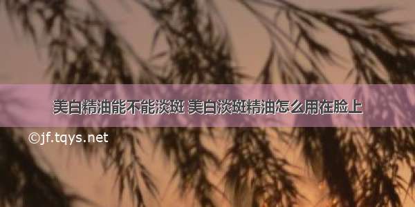 美白精油能不能淡斑 美白淡斑精油怎么用在脸上