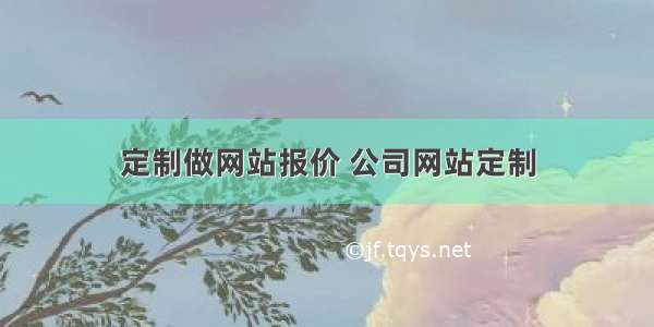 定制做网站报价 公司网站定制