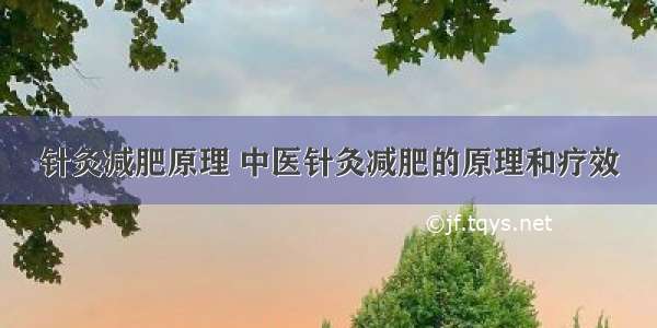 针灸减肥原理 中医针灸减肥的原理和疗效