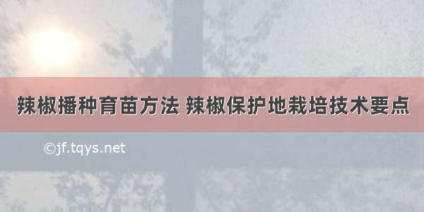 辣椒播种育苗方法 辣椒保护地栽培技术要点