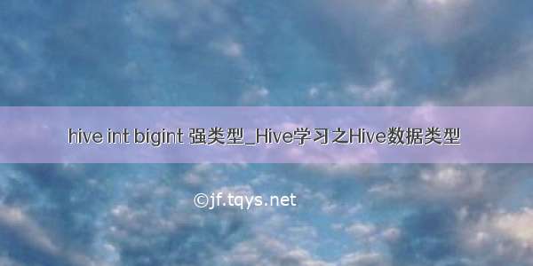 hive int bigint 强类型_Hive学习之Hive数据类型