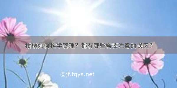 柑橘如何科学管理？都有哪些需要注意的误区？