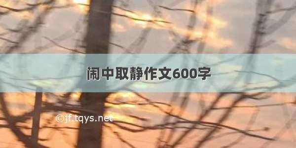 闹中取静作文600字