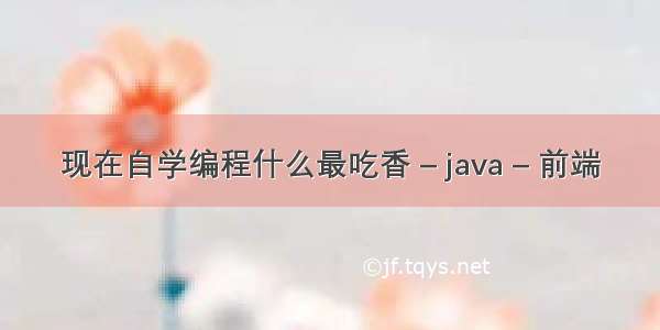现在自学编程什么最吃香 – java – 前端