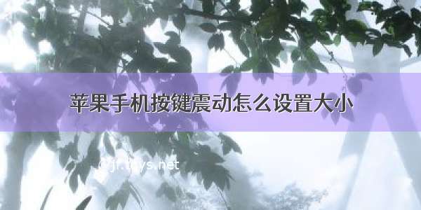 苹果手机按键震动怎么设置大小