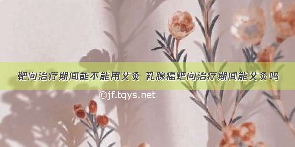 靶向治疗期间能不能用艾灸 乳腺癌靶向治疗期间能艾灸吗