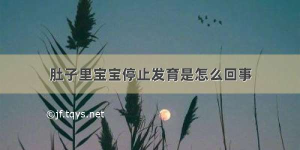 肚子里宝宝停止发育是怎么回事