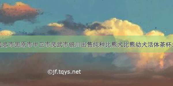 银川石嘴山吴忠市固原市中卫市灵武市银川出售纯种比熊犬比熊幼犬活体茶杯犬卷毛比熊犬