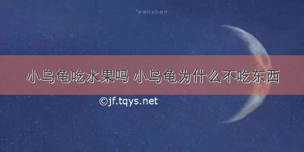 小乌龟吃水果吗 小乌龟为什么不吃东西