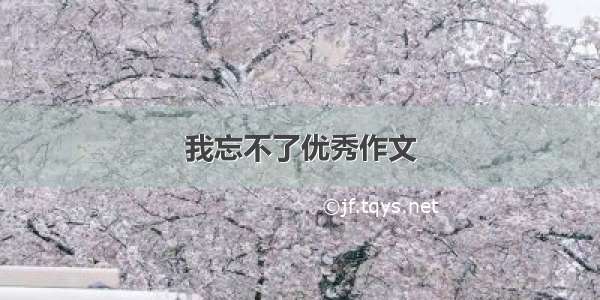 我忘不了优秀作文