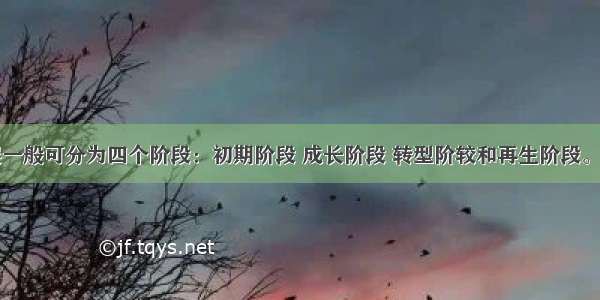 区域的发展一般可分为四个阶段：初期阶段 成长阶段 转型阶较和再生阶段。初期阶段主