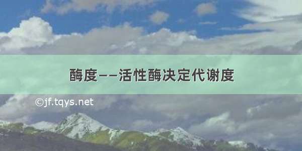 酶度——活性酶决定代谢度