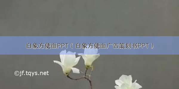 白象方便面PPT（白象方便面广告策划书PPT）