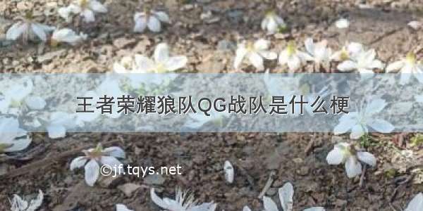 王者荣耀狼队QG战队是什么梗