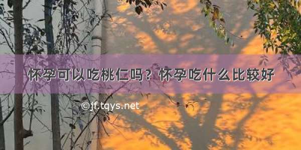 怀孕可以吃桃仁吗？怀孕吃什么比较好