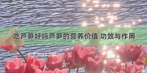 吃芦笋好吗芦笋的营养价值 功效与作用